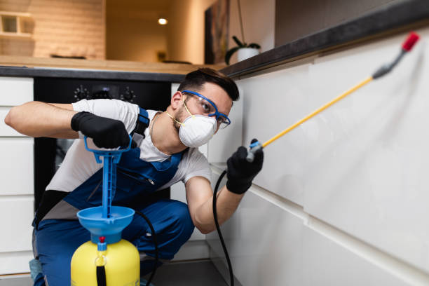 Best Pest Prevention Services  in Ardia, CA