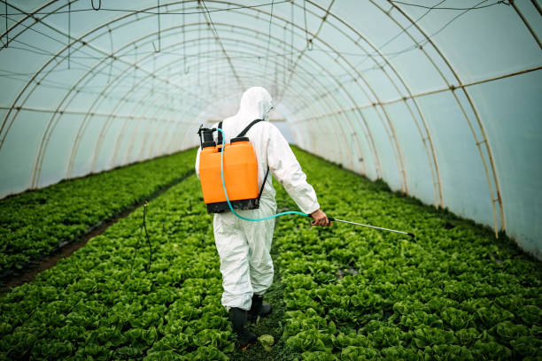 Trusted Arcadia, CA Pest Control Experts