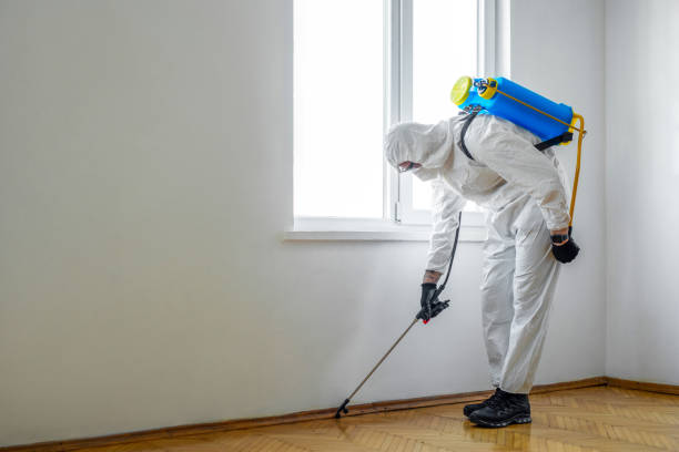 Best Affordable Pest Control Services  in Ardia, CA