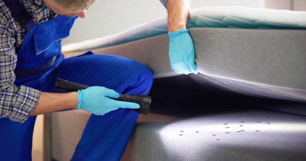 Best Residential Pest Control  in Ardia, CA