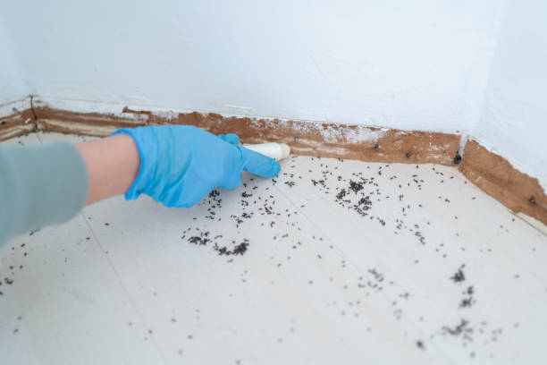 Pest Control Cost in Arcadia, CA